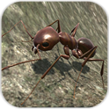 蚂蚁模拟游戏中文版下载