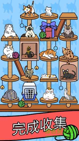 猫咪公寓喵友日记 v1.0 安卓版2