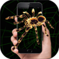 手机屏幕养蜘蛛软件Spider Prank
