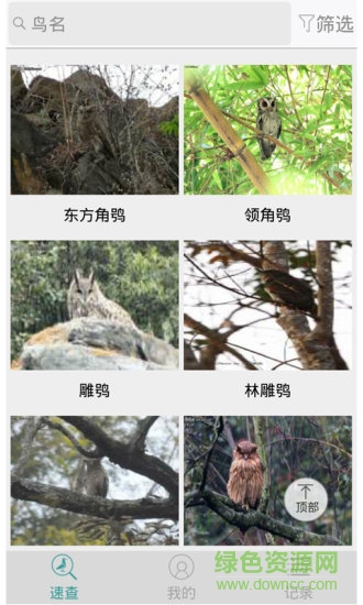 拍照识鸟app(中国野鸟速查) v3.0 安卓版0