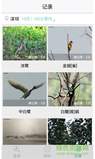 鸟类识别app(中国野鸟速查) v2.3 安卓版2