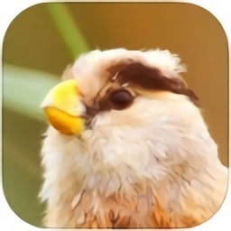 上海野鸟app下载