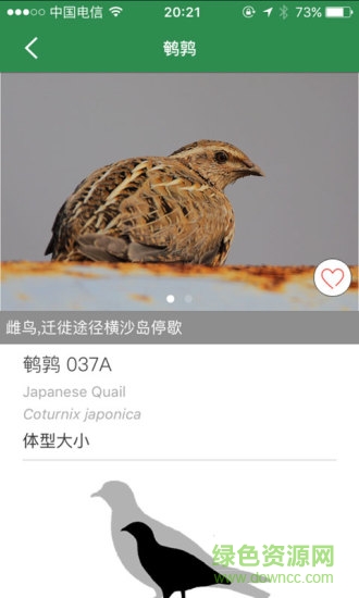 上海野鸟 v1.0.2 安卓版1
