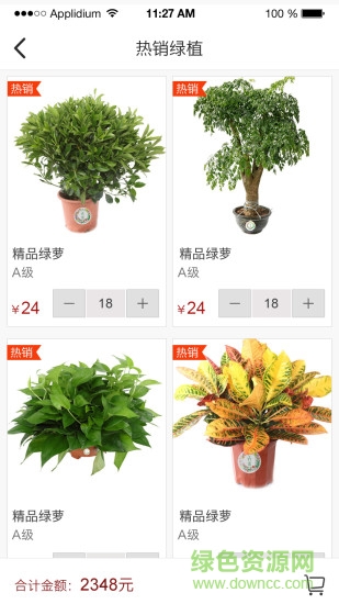 萬(wàn)卉源鮮花批發(fā)2