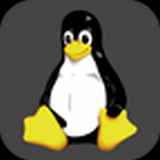 Linux命令运行程序
