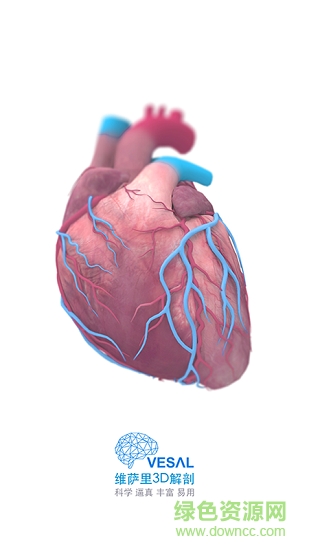 維薩里3D解剖教學全集終身免費版0