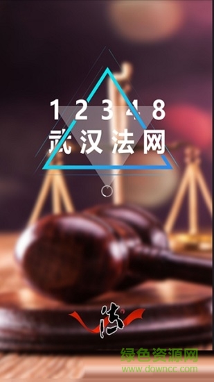武汉法律服务网(12348武汉法网) v1.0.0 安卓版0