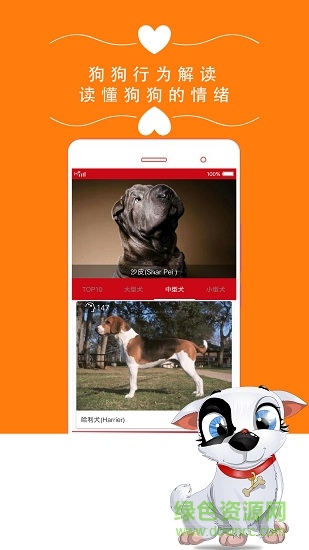 狗狗之家手机版 v1.0 安卓版1
