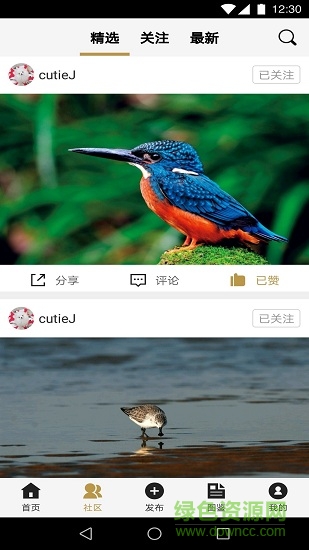 识鸟家app v1.4 安卓版1