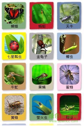 昆蟲識(shí)圖app v1.3 安卓版 2