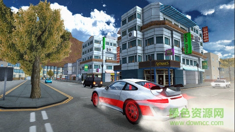 驾驶汽车模拟游戏 v4.2 安卓版1