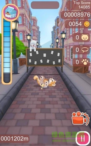 可爱宠物狗狗(Cute Pet Puppies) v1.0.4 安卓版3