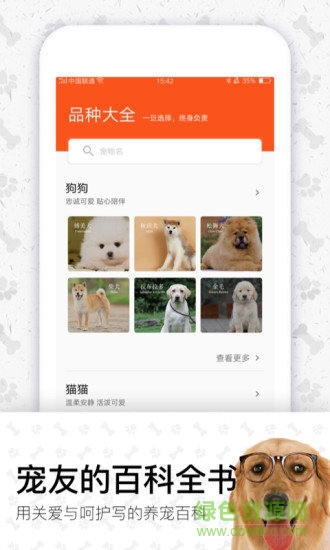 四只貓app1