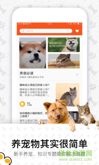 四只貓app2