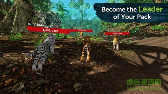 森林之王手机版(The Tiger) v1.2 安卓版3
