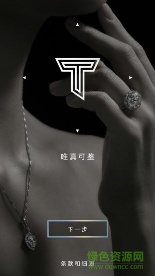 周大福 T Mark2