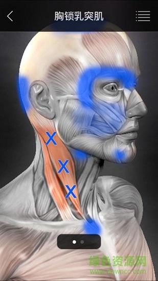 肌肉疼痛點指南安卓中文版0