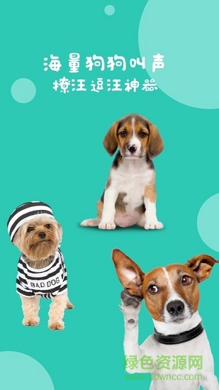 狗狗叫声翻译器app(狗语翻译) v1.0.1 安卓手机版2