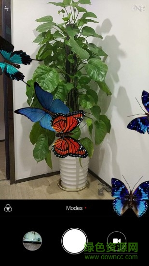 手机屏幕养蝴蝶的软件