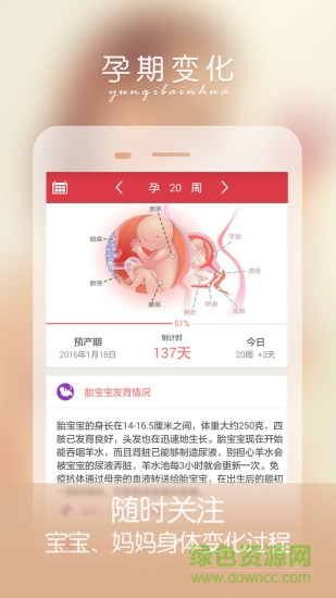 手机孕妇伴侣软件 v4.9.1 官方安卓版2