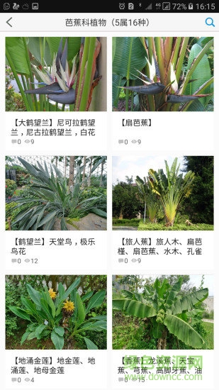 植物大全軟件2