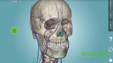 人体解剖学图集app v3.15.1 安卓版0