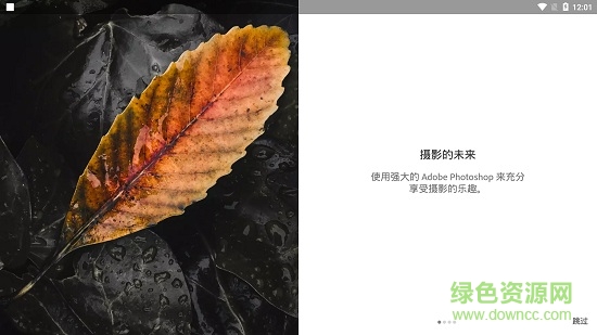 lightroom手机中文版app v8.0.0 免费最新版0