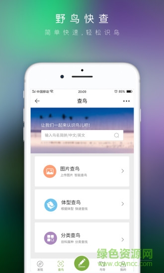 爱鸟app