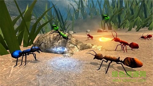 蚂蚁荒野生存模拟内购正式版 v1.1 安卓无限金币钻石版2