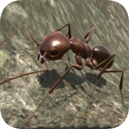 蚂蚁模拟3d中文正式版