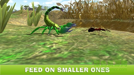 蝎子模拟器中文版(Scorpion Sim) v1.0 安卓最新版1