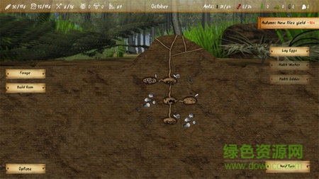 最后的蚂蚁无限金币 v2.43 安卓中文版2