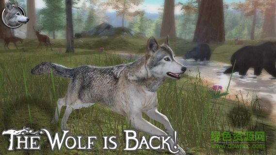 终极野狼模拟器2游戏(UltWolf2) v1.0 安卓版1