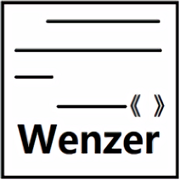 wenzer软件中文版