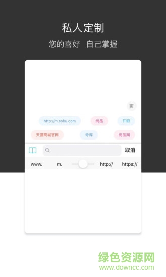 绿叶浏览器app