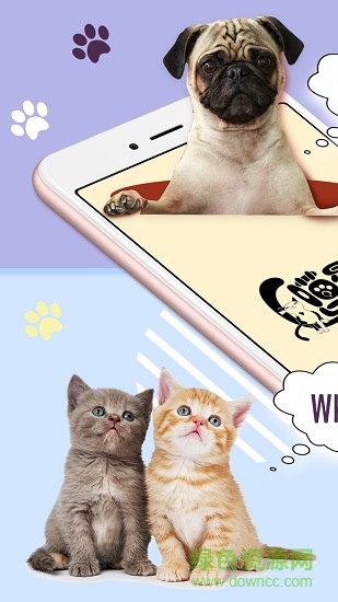 猫狗语翻译器(AndroidAnimationDemo) v24 安卓版3
