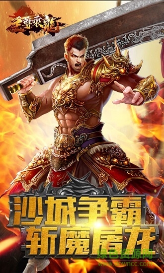 至尊乘龍 v0.1.0.1 安卓版 3