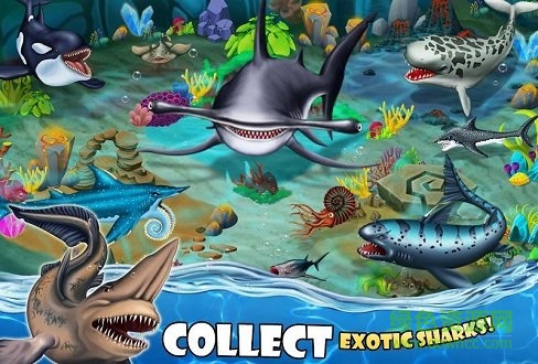 鲨鱼世界(Shark World) v11.58 安卓版2