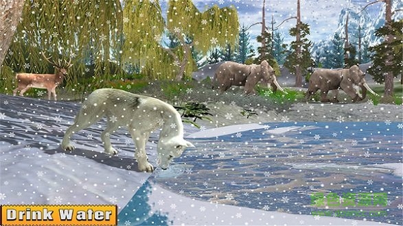 北极狼家族模拟器 v1.0 安卓版0