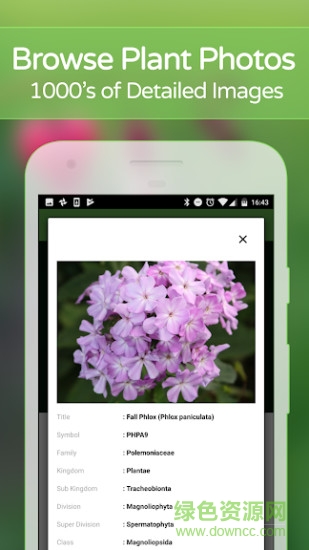 plantsnap v1.3 安卓版0