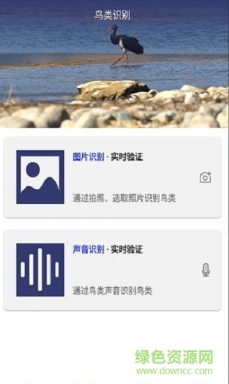 圖音識(shí)鳥(niǎo) v1.1 安卓版 0