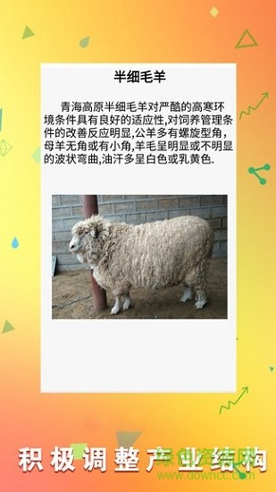 羊场专家 v1.10 安卓版0