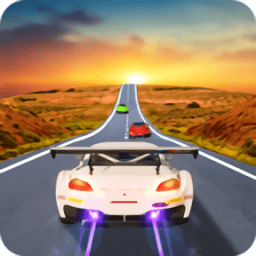 拉力赛狂怒3D(Rally Racer Fury 3D)