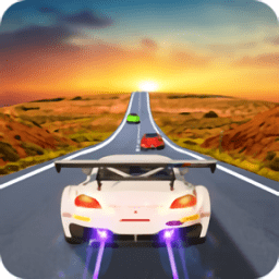 拉力賽狂怒3D(Rally Racer Fury 3D)