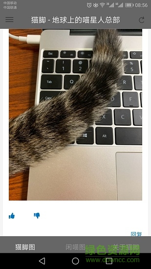 猫脚(宠物社交) v2.0.2 安卓版2