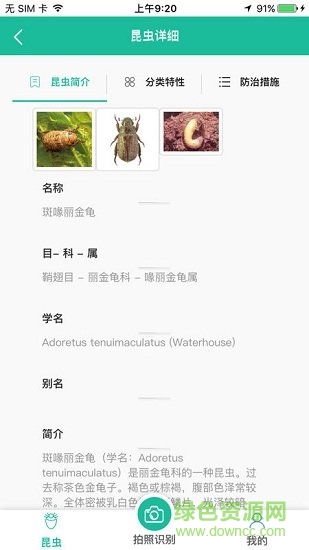 江西昆虫识别软件 v1.1.8 安卓版1