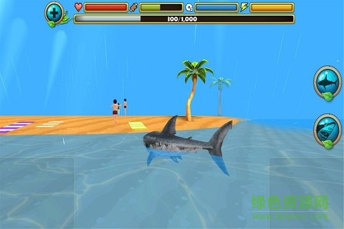 鲨鱼进化模拟器无限金币版 v1.1 安卓内购3