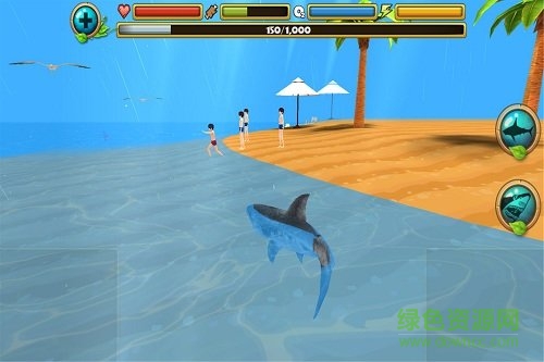 鲨鱼进化模拟器无限金币版 v1.1 安卓内购0