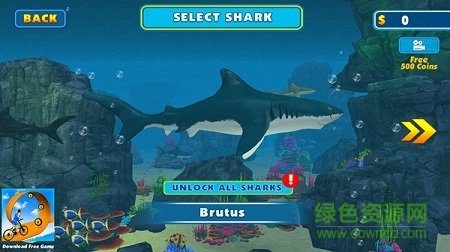 饥饿鲨鱼模拟器最新版本 v6.4 安卓版1