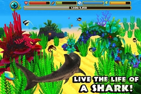 鲨鱼模拟器 v1.0 安卓版0